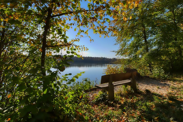 其他地区的 其他地区的
