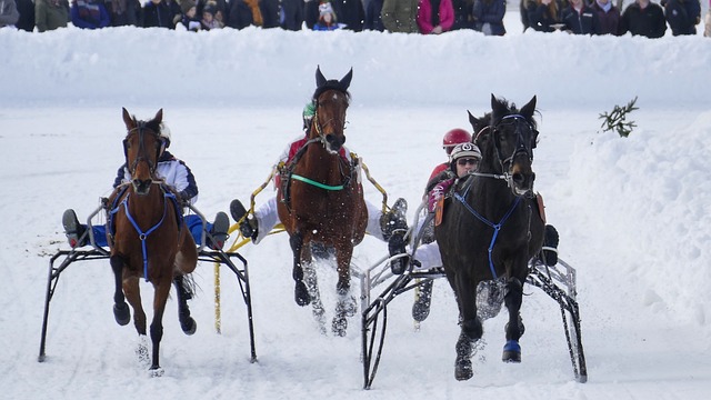英超各大俱 英超各大俱