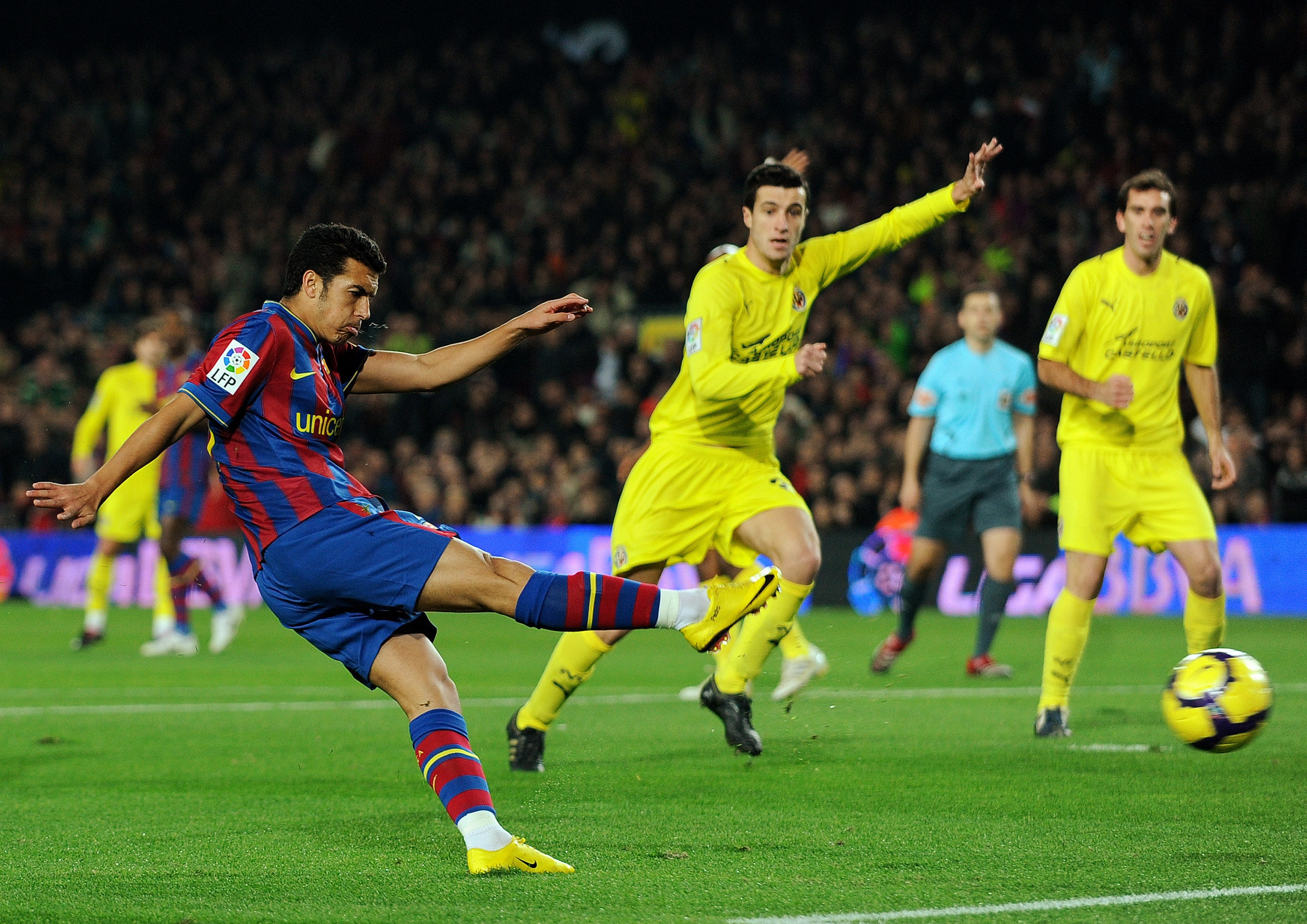 的成长打下 的成长打下