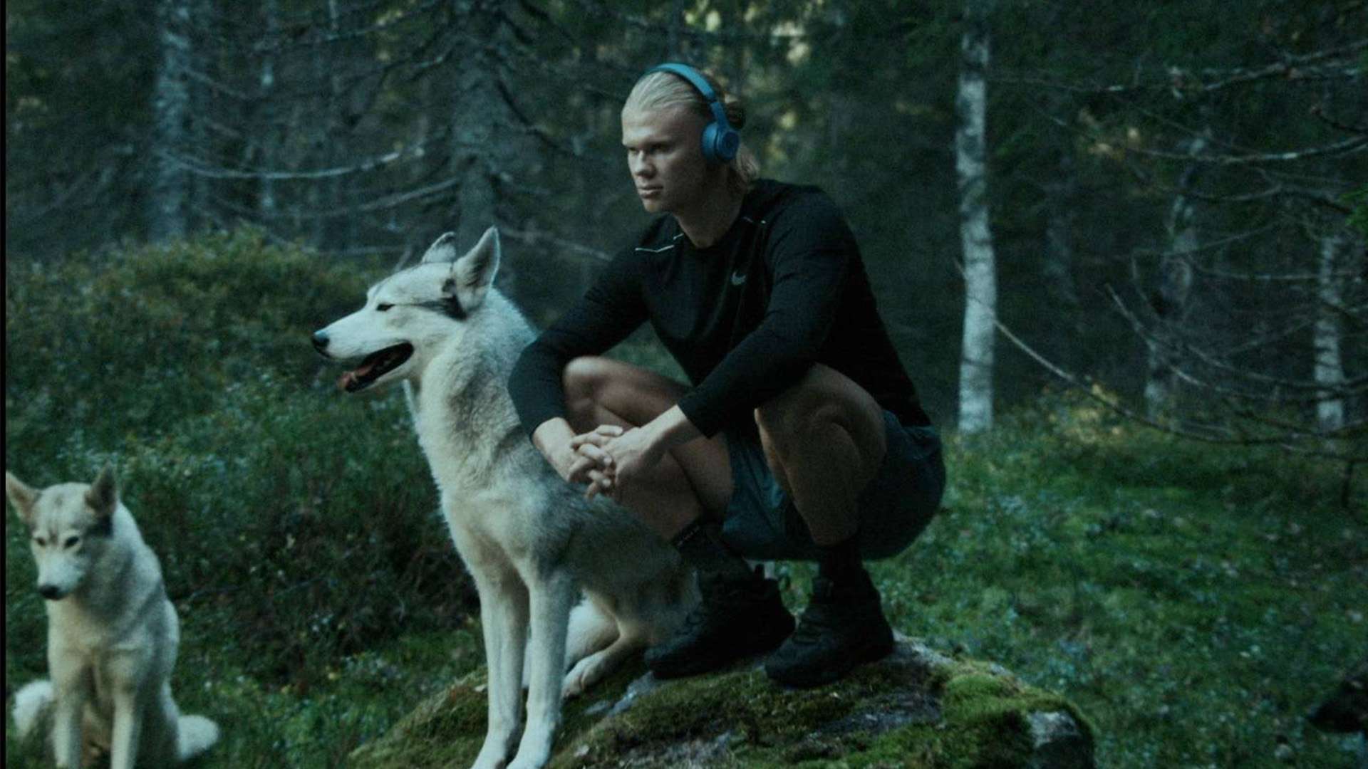 降临安联球 降临安联球