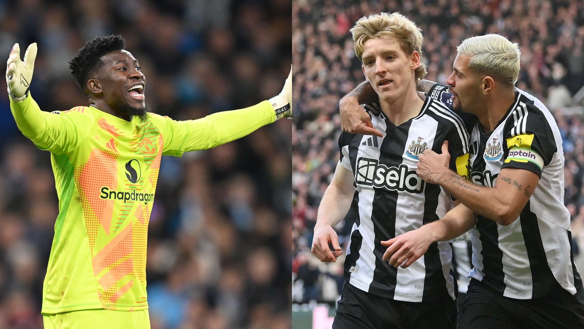 仅是一份礼 仅是一份礼